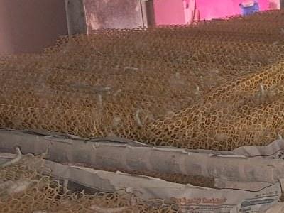 Plastic collapsible mountages with silkworms spinning